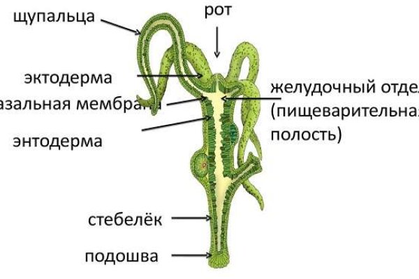 Зеркало tor blacksprut adress com