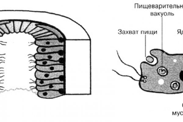 Зеркало blacksprut тор ссылка